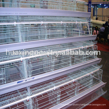 Poultry design layer chicken cages for kenya poultry farm